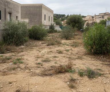 Area condominiale prima dell intervento, con terreno scoperto e vegetazione disordinata