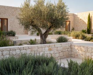 Cortile ibleo con muretti in pietra chiara, ulivo e piante aromatiche