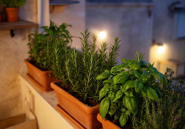Balcone in provincia di Ragusa con fioriere in terracotta, aromatiche e illuminazione calda